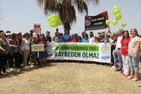 DENİZ KAPLUMBAĞALARI - Tepkiler Sonuç Verdi, Mersin Pop Fest İptal Edildi