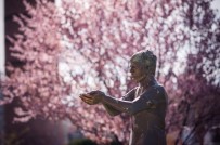 GEZİ PARKI - Ali İsmail Korkmaz Heykeli Yenileniyor