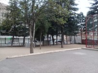 BOZÜYÜK BELEDİYESİ - Bozüyük'teki Kümbet Türbe'nin Kime Ait Olduğu Ortaya Çıktı