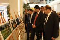 MEHMET ŞERİF OLÇAŞ - Erzincan'da Tarım Ve İnsan Fotoğraf Sergisi Açıldı