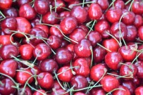 KOMPOZISYON - Kiraz Festivali'nin Tarihleri Belli Oldu