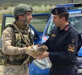 FıRAT ÜNIVERSITESI - Komandolardan Yaralı Şahine Şefkat Eli