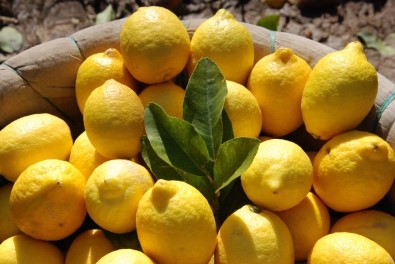 Mersin Ve Adana'nın Nisan Ayı Enflasyonu Yüzde 21,52