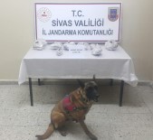 YOLCU OTOBÜSÜ - Zula Da Ki Uyuşturucusu Jandarma Köpeği Buldu