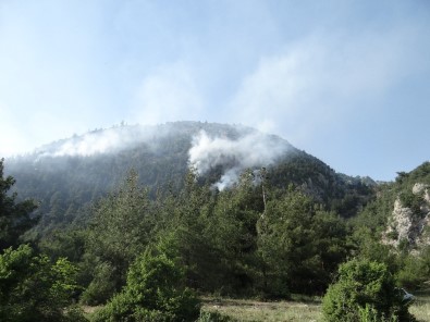 Bilecik'te Orman Yangını, 2 Dekar Alan Kül Oldu