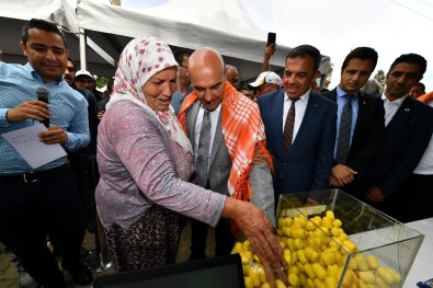 Büyükşehir Belediyesinin Yaptığı Küçükbaş Hayvan Hibesi 10 Bini Aştı