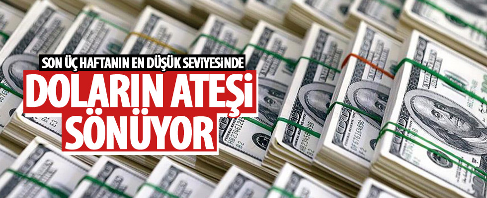 Doların düşüşü sürüyor!