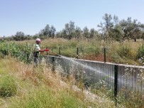 HASAN ARSLAN - Edremit'te Sivrisinek Seferberliği