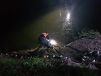 İNCİ KEFALİ - Kaçak Avlanan 5 Ton Canlı Balık Tekrar Suya Bırakıldı