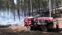 Muğla'daki Orman Yangını