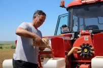 GÜMÜŞYAKA - Silivri'de 'Milli Tarım Yerli Tohum Deneme Ekimleri' Devam Ediyor