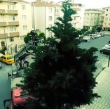 İTFAİYE ARACI - Yuvadan Düşen Saksağan Yavruları İçin Seferber Oldular