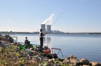 NÜKLEER SANTRAL - Dr. Kalan Açıklaması 'NGS'lerin Balık Yaşamını Ve Suyun Altındaki Mikrofloriyayı Etkilemediğini Gördüm'