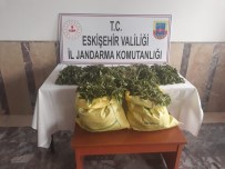 Mısır Tarlasında 8 Bin 405 Kök Kenevir Çıktı