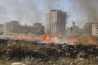 AKBAYıR - Şehir Merkezinde Çıkan Arazi Yangını Çevredeki Binaları Etkiledi