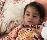 ÖZEL HAREKATÇI - 15 Temmuz şehidinin kızı hayatını kaybetti