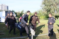SADIK AHMET - Adana'da Feci Kaza Açıklaması 2 Ölü 29 Yaralı