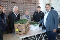 Aksaray'da Ziraat Odası Çiftçilere 500 Bin Fide Dağıttı