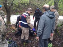 Artvin'de 2 Gündür Kayıp Olarak Aranan Yaşlı Adamın Cesedi Derede Bulundu Haberi