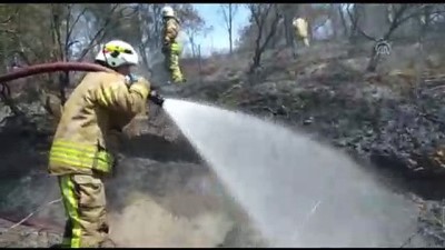 İstanbul'da Orman Yangını