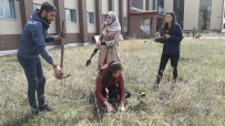 SOSYAL SORUMLULUK PROJESİ - Kafkas Üniversitesi  Öğrencileri Fidan Dikti