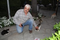 ALANYA ZIRAAT ODASı - Kedisi Minnoş'u Bulana En Organik Ödül