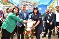 SUPHI ÖZGÖDEK - Kepez En Güzel Buzağısını Seçti