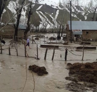 Yüksekova'da Dere Taştı, Evleri Su Bastı