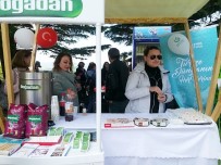 ORGANİK ÜRÜN - Gürcistan'da Çay Festivali