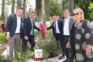 Bodrum'da Deniz Ve Arkadaşları İçin Üç Fidan Dikildi