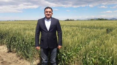 Doğru Açıklaması 'Buğdayın Maliyeti Bir Yılda Yüzde 55 Arttı'