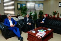 KAYHAN TÜRKMENOĞLU - Rektör Şevli'ye Ziyaretler Devam Ediyor