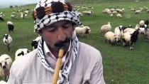 Sürü Peşindeki Çobanların İlk İftarı Haberi