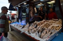 VIETNAM - Trabzon'da Denizden Somon Hasadı Başladı