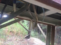 BAĞLAMA - Trafo Kablolarını Çaldılar