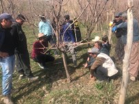 BAHAR TEMİZLİĞİ - Yüksekova'da Çiftçilere Eğitim