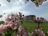 ZEUS - Aizanoi Antik Kenti Dünyaya Tanıtılacak