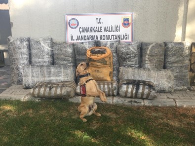 Piyasa Değeri 66 Milyon TL !