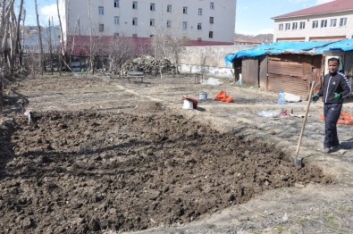 Yüksekova'da Havalar Isındı, Toprağa Tohumlar Atılmaya Başlandı