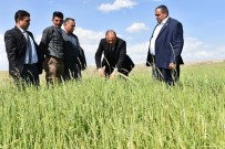 Aksaray'da Tarım Arazilerinde Zarar Tespiti Yapıldı Haberi