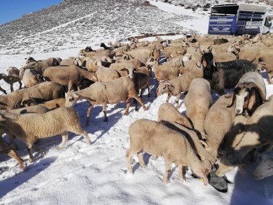 Antalya'da Yaylalar Mayıs Ayında Beyaza Büründü