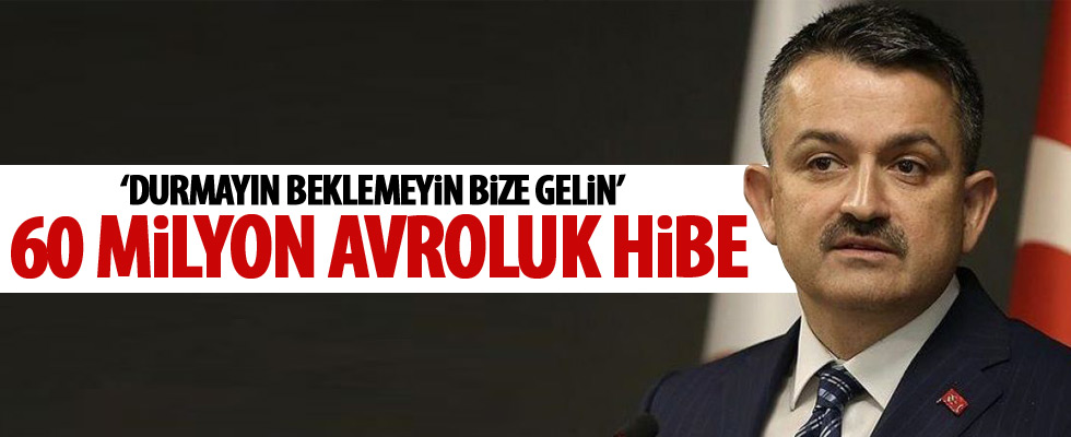 Üretici ve yatırımcılara 60 milyon euroluk hibe