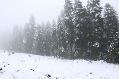 Bolu'da Yüksek Kesimlere Kar Yağdı