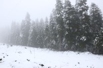SAĞANAK YAĞIŞ - Bolu'da Yüksek Kesimlere Kar Yağdı