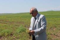 Garzan Ovası'ndaki Tarım Alanları Yağışlardan Zarar Gördü