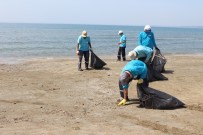 DENİZ KAPLUMBAĞALARI - Hatay'da Deniz Ve Sahil Temizliği Başladı