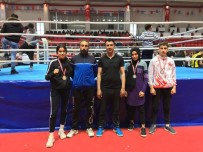 Malatyalı Sporcular Muaythaide Büyük Başarı Elde Etti