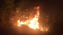 Rize'deki Orman Yangını Güçlükle Söndürüldü Haberi