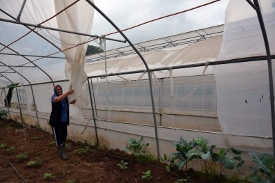 Şiddetli Rüzgar Seralara Zarar Verdi