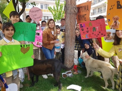 'Bir Pati De Sen Tut' Diyerek Sokak Hayvanlarına Umut Oldular